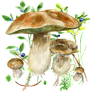Mushrooms app Mod