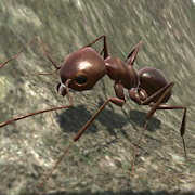 Ant Simulation 3D Mod