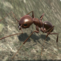 Ant Simulation 3D - Insect Survival Game‏ Mod