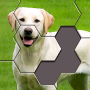 Hexa Jigsaw Puzzle ® APK+MOD (Unlocked)v106.03 Hexa Jigsaw Puzzle ®