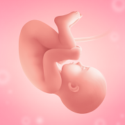 Pregnancy and Due Date Tracker Mod APK 3.92.0