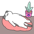 Purrfect Cats icon