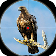 Desert Birds Sniper Shooter 3D Mod