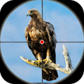 Desert Birds Sniper Shooter 3D icon