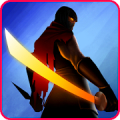 Ninja Raiden Revenge‏ Mod