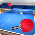 Table Tennis Touch Mod
