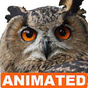 Owl Live Wallpaper Mod