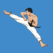 Mastering Taekwondo at Home Mod