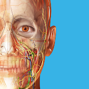Human Anatomy Atlas 2024(Mod, Unlocked) icon