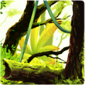 Mossy Forest Live Wallpaper icon