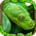 Snake Simulator icon
