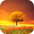 Awesome-Land Pro Livewallpaper icon