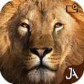 Safari: Online Evolution icon