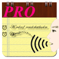 Voice Notes (Pro) icon