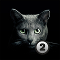 Find a cat 2 icon