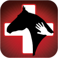 Horse Side Vet Guide‏ Mod