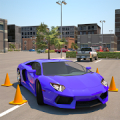 Driving School 3D Parking icon