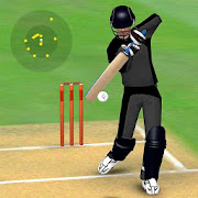 Smashing Cricket: cricket game Mod