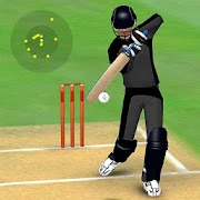 Smashing Cricket Mod Apk 3.3.3 [ازالة الاعلانات]