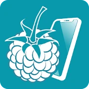 RaspController Мод Apk 6.1.6 [разблокирована][профессионал]