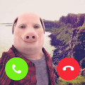 John Pork In Video Call Mod