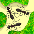 محاكاة مزرعة النمل Mod