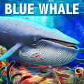 الحوت الأزرق محاكاة Mod