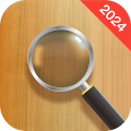 Magnifying Glass icon