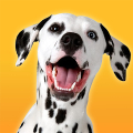 Dalmatian Dog Simulator‏ Mod