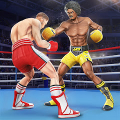 Punch Boxing Game: Ninja Fight icon