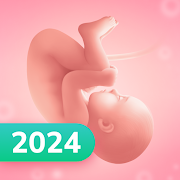 Pregnancy and Due Date Tracker icon