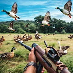 Duck Hunting Challenge Mod apk