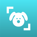 Dog Scanner: Raza del perro Mod