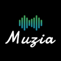 Muzia: Music on Display Mod