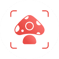 Picture Mushroom - Mushroom ID‏ Mod