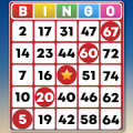 Bingo Classic Game - Offline Free Mod