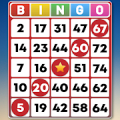 Bingo Classic Game - Offline Free APK