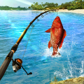 Fishing Clash: Catching Fish Game. Bass Hunting 3D Mod