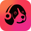 Offline Music Mp3 Player- Muso icon