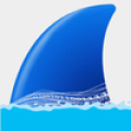 WireShark Mod