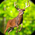 av oyunları 3d: geyik avcısı Mod