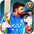 Cricket Man Of the Match : Player Career Mod