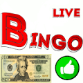Bingo on Money Lotto Match 3 f Mod