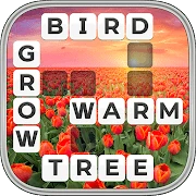 Word Wiz - Connect Words Game Mod apk