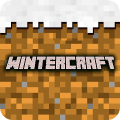 Winter Craft - Block Craft Mod