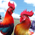 Balap Ayam Jago - Gila Tanah Peternakan Ras Mod