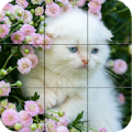 kucing - Puzzle Mod