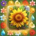 Flower Book Match3 Puzzle Game‏ Mod