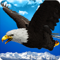 Wild Eagle Bird Simulator icon
