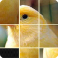 Pictures Puzzle Best Game Mod